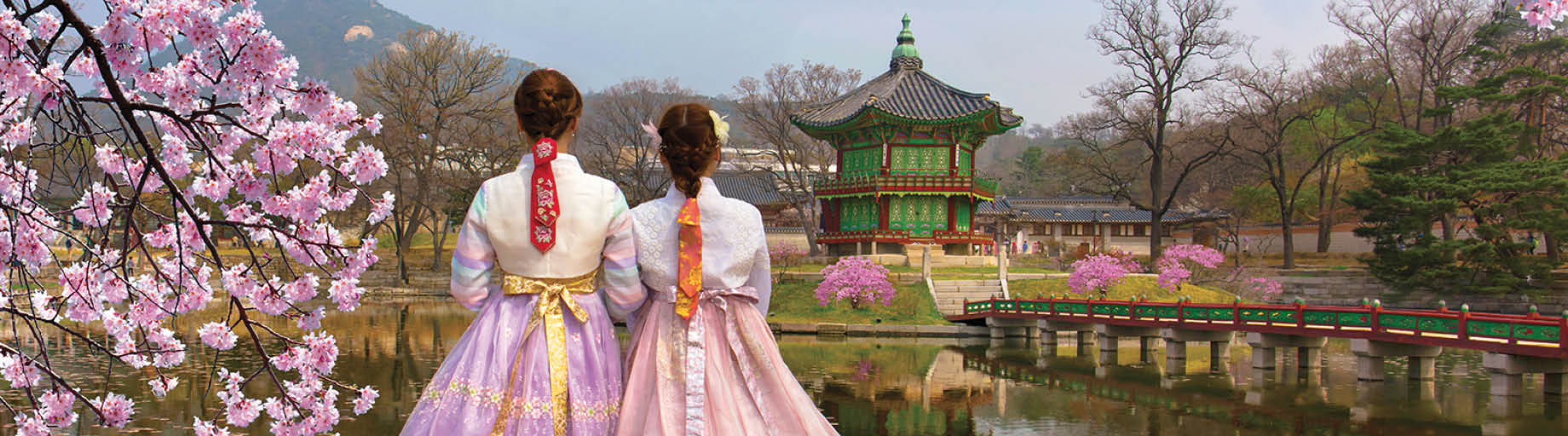 South Korea Rail, Cherry Blossom and Food Tour