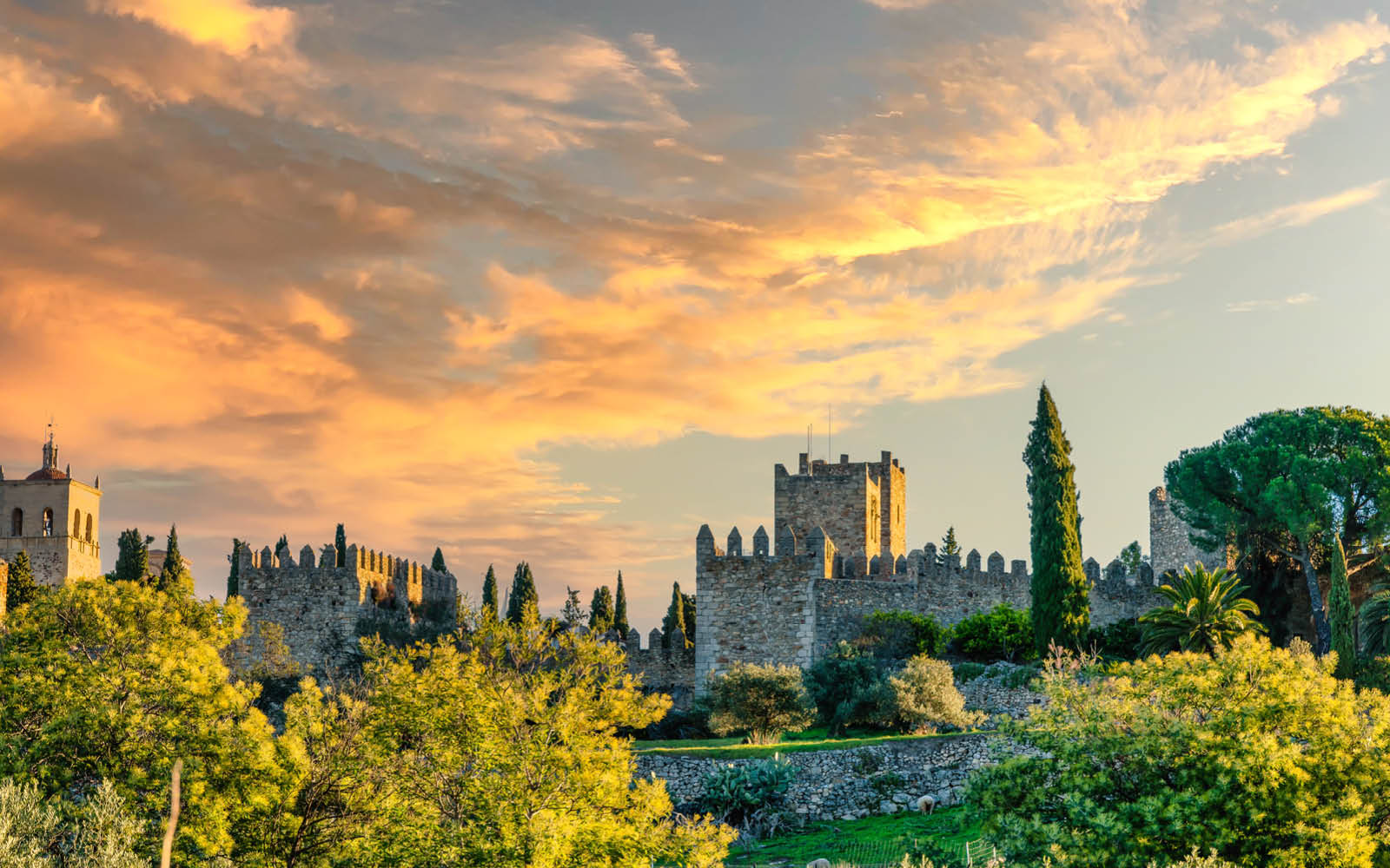 Extension Tour of Spain