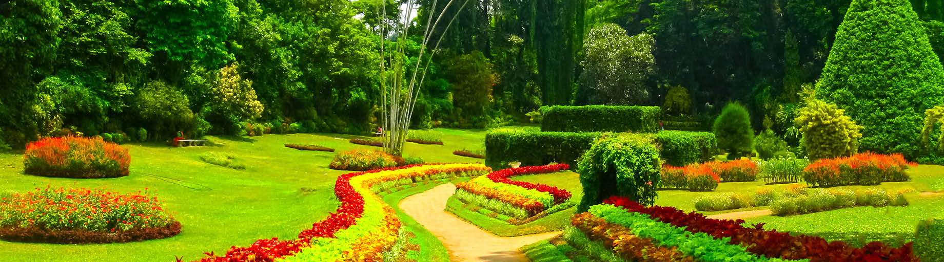 Sri Lanka Garden Tour with Phil Dudman