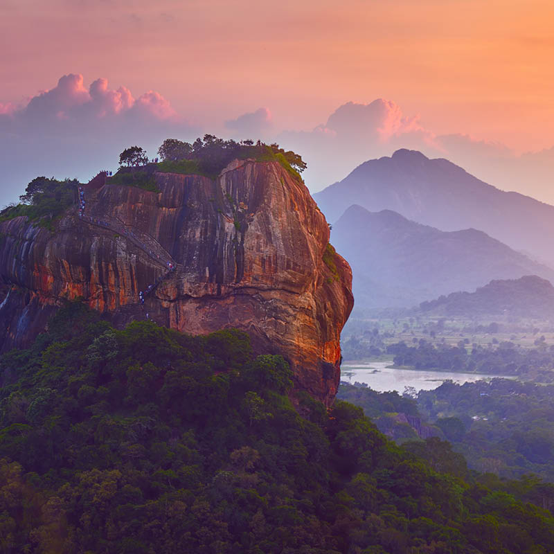 Sri Lanka Garden Tour with Phil Dudman