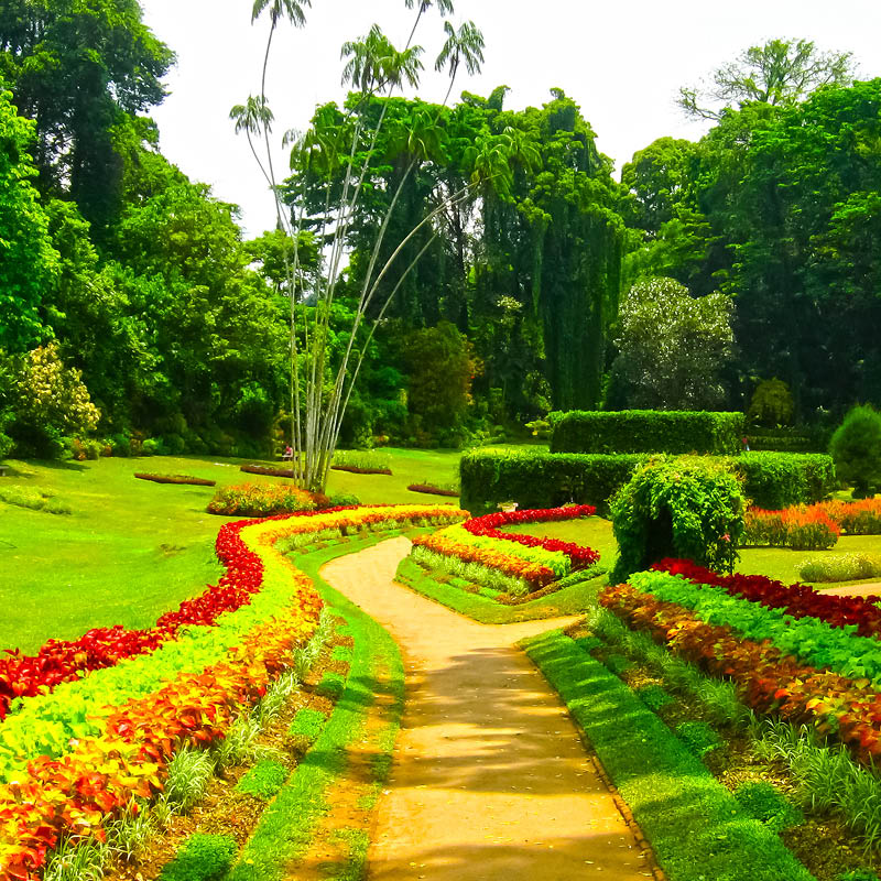 Sri Lanka Garden Tour with Phil Dudman