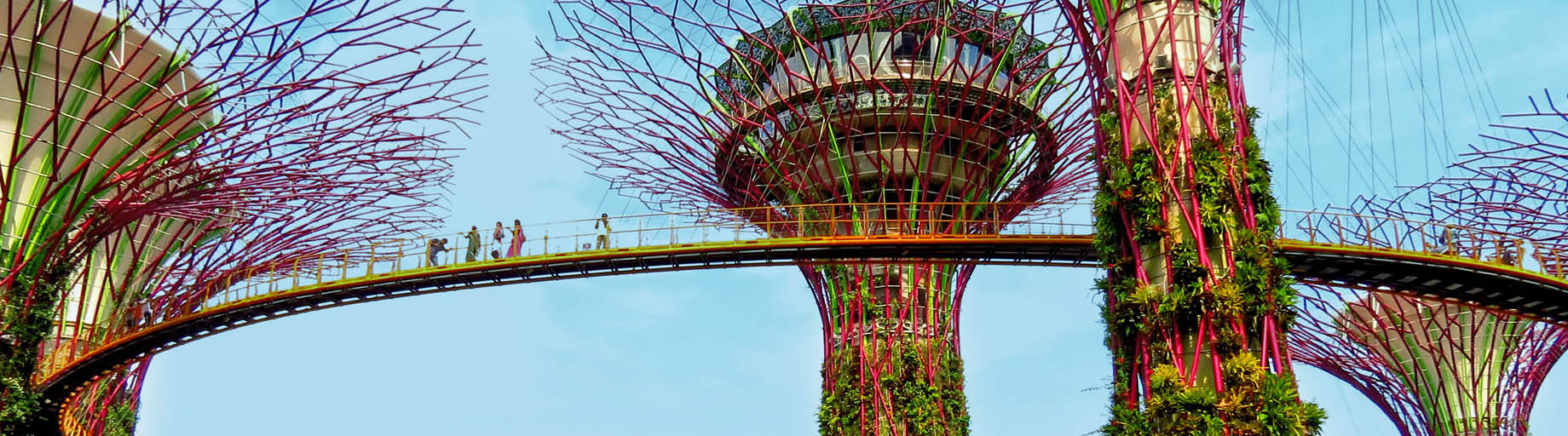 Tokyo to Singapore Fully Escorted Cruise