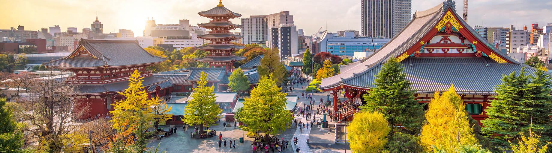Tokyo to Singapore Fully Escorted Cruise
