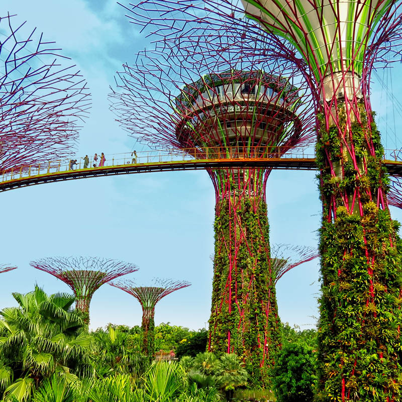 Tokyo to Singapore Fully Escorted Cruise