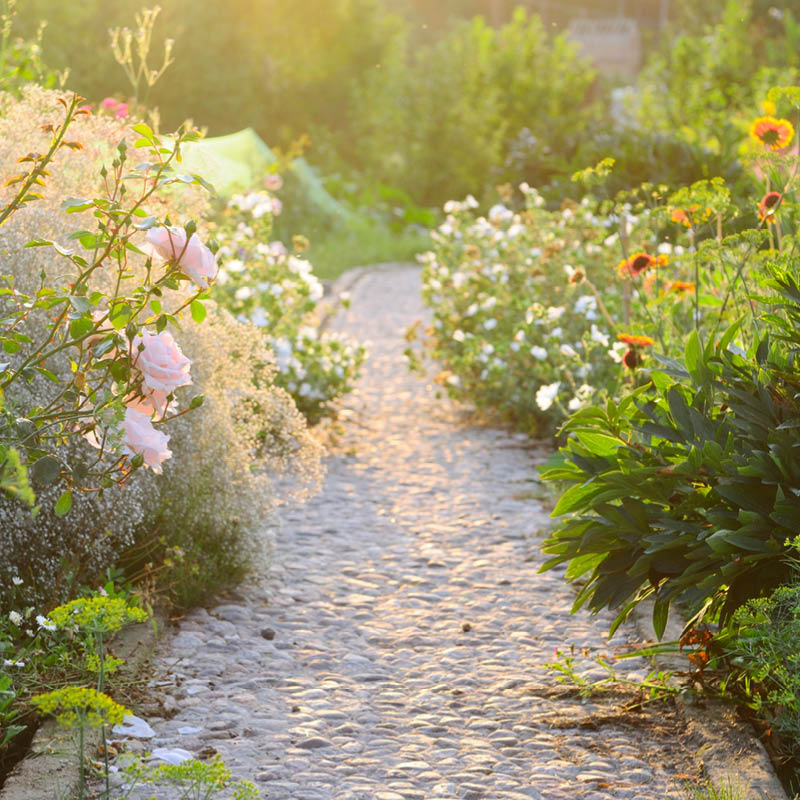 Travelrite Garden Tours