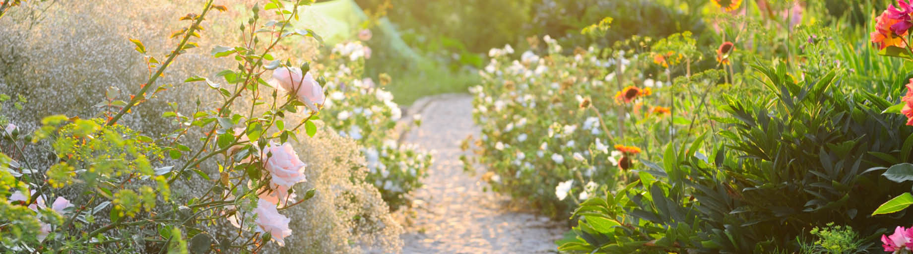 Travelrite Garden Tours