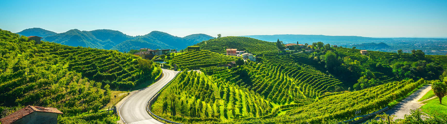 Food, Beer & Wine Tours