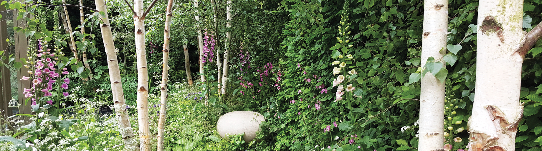 Garden Tour of England & France with Phil Dudman