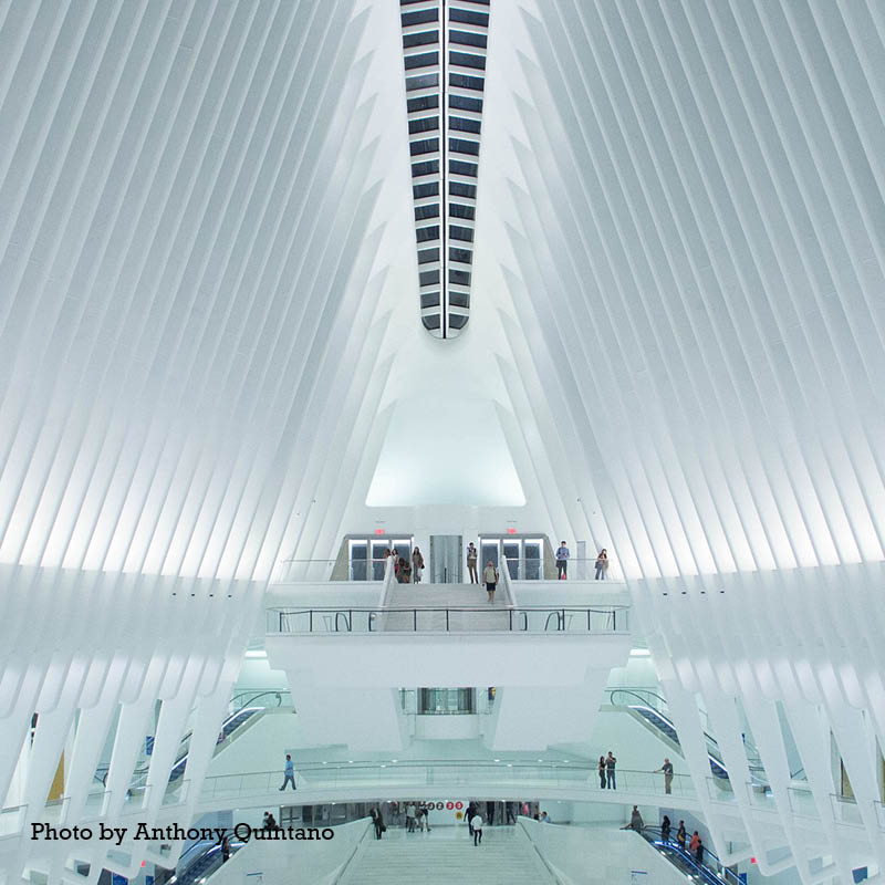USA Architecture Tour with Malcolm Carver