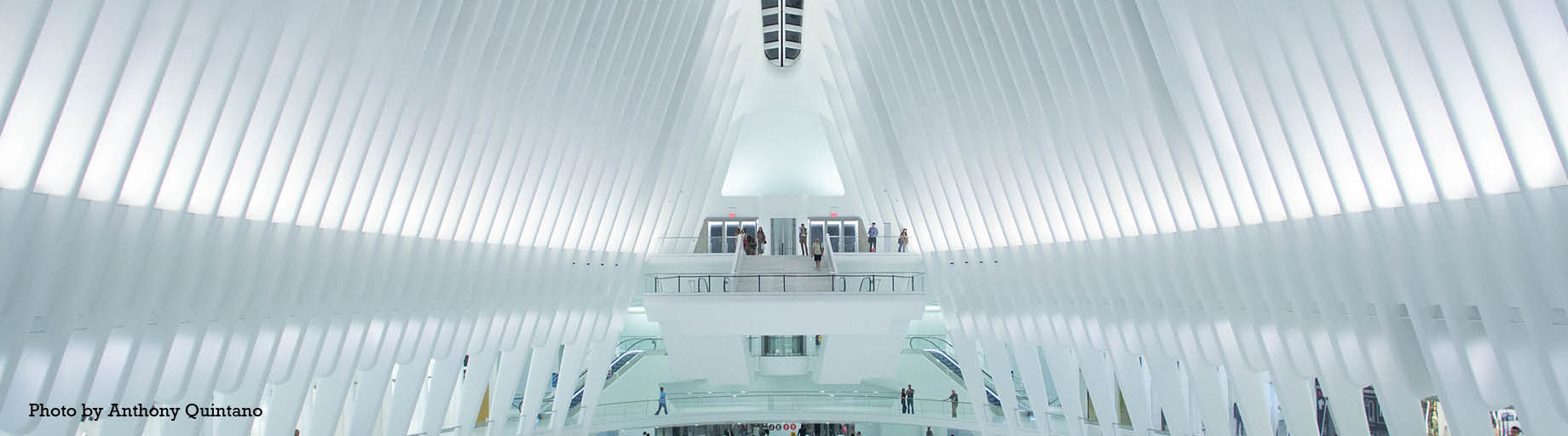 USA Architecture Tour with Malcolm Carver