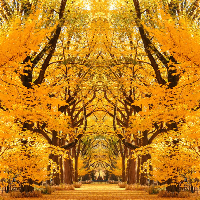 Travelrite Garden Tours
