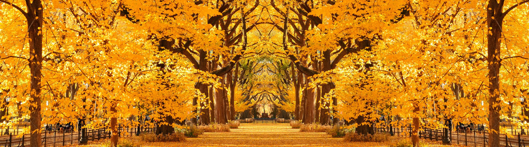 Travelrite Garden Tours