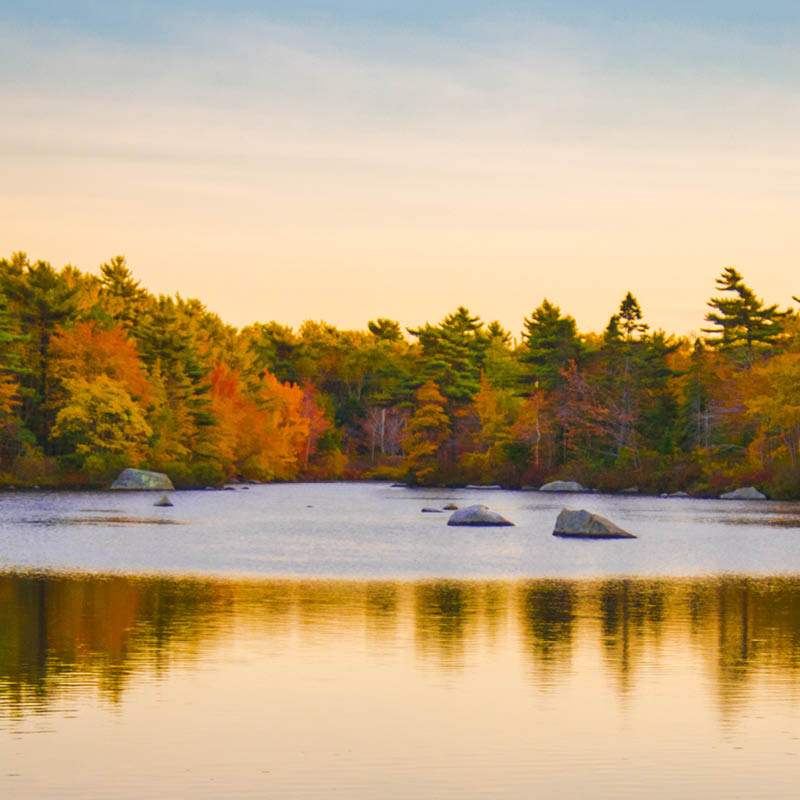 Autumn Colours Garden Cruise to USA and Canada with Deryn Thorpe