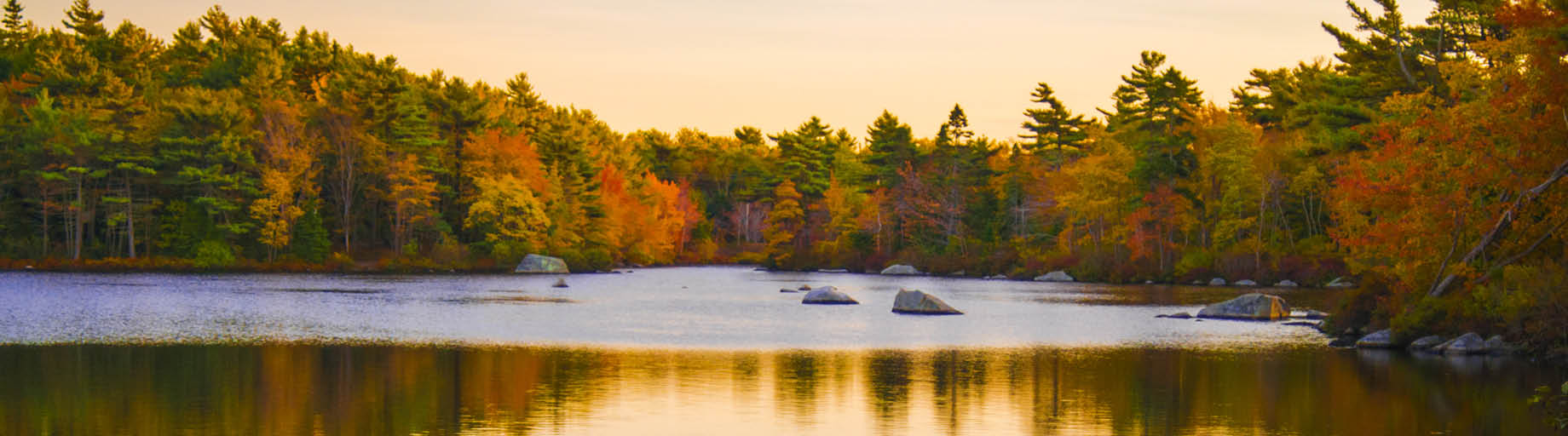 Autumn Colours Garden Cruise to USA and Canada with Deryn Thorpe