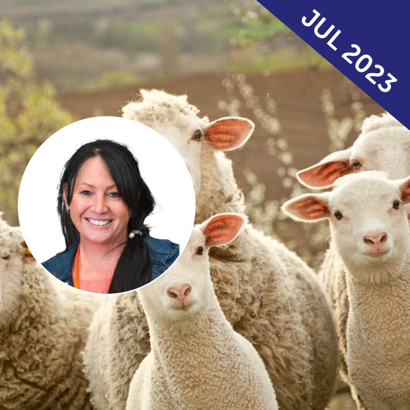 Victorian Sheep & Wool Show Tour with Gaille Smith