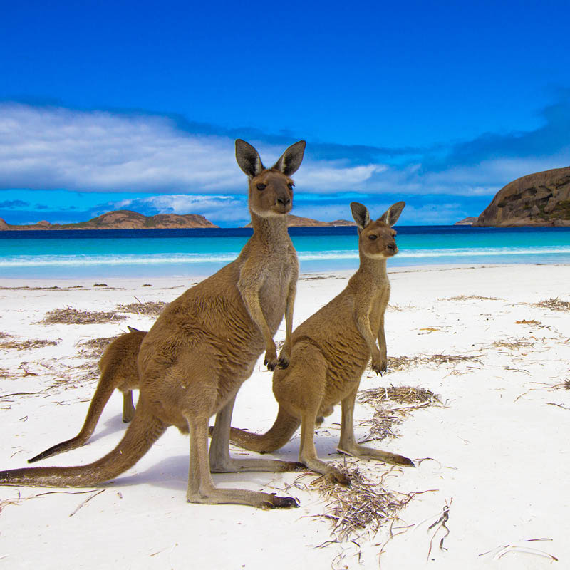 Western Australia Railways, Fine food and wine Tour