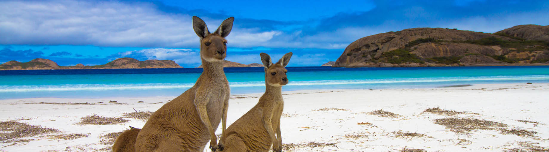 Western Australia Railways, Fine food and wine Tour