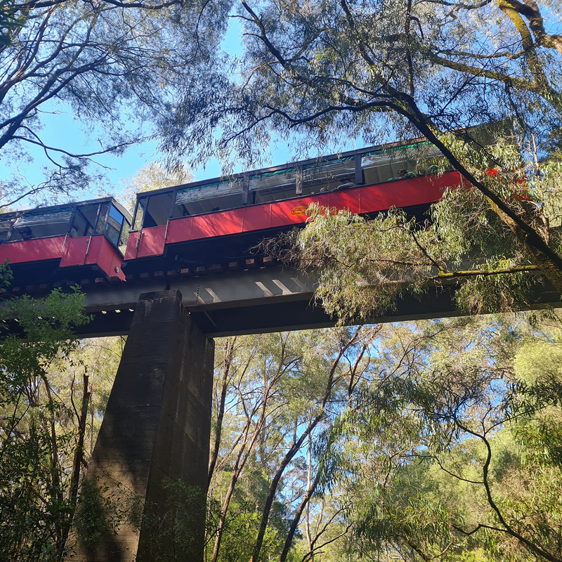 Western Australia Railways and Wildflowers Tour