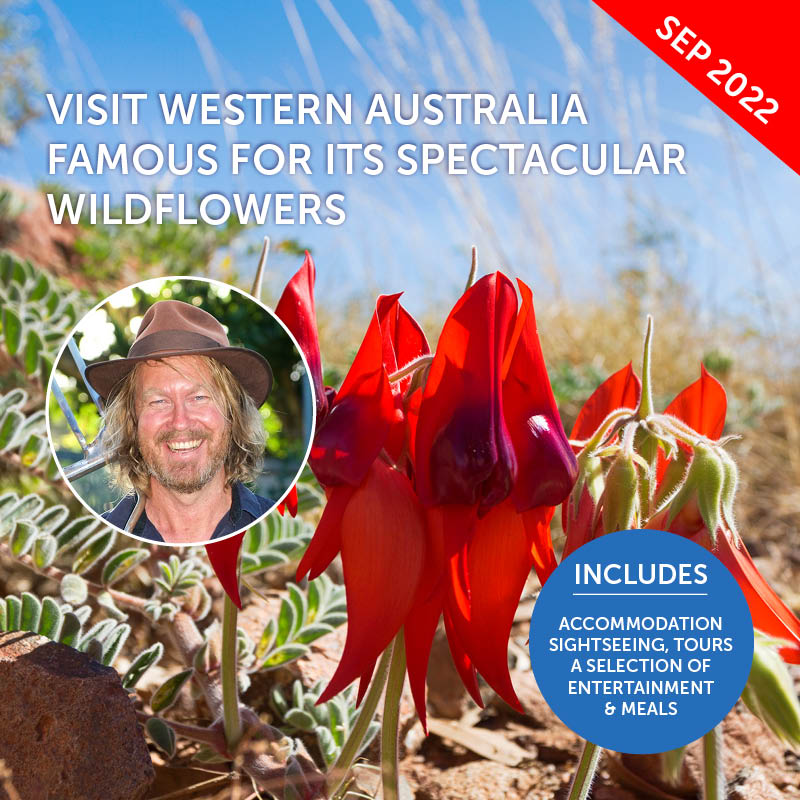 Wildflower Tour of Western Australia