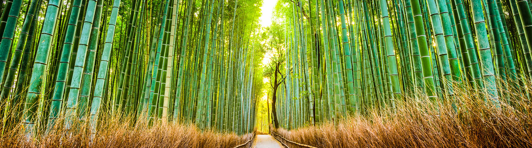 Whisky Tour of Japan with Bill Lark