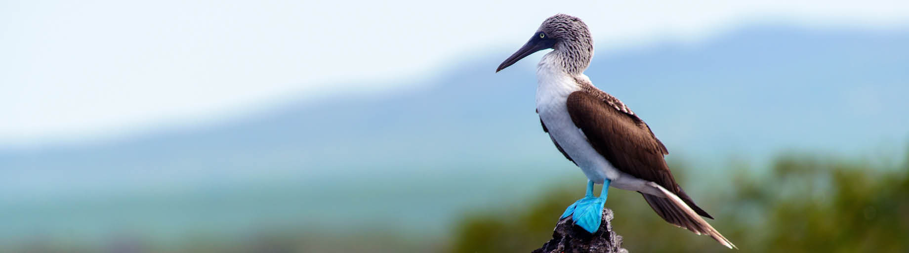 Travelrite Wildlife Tours