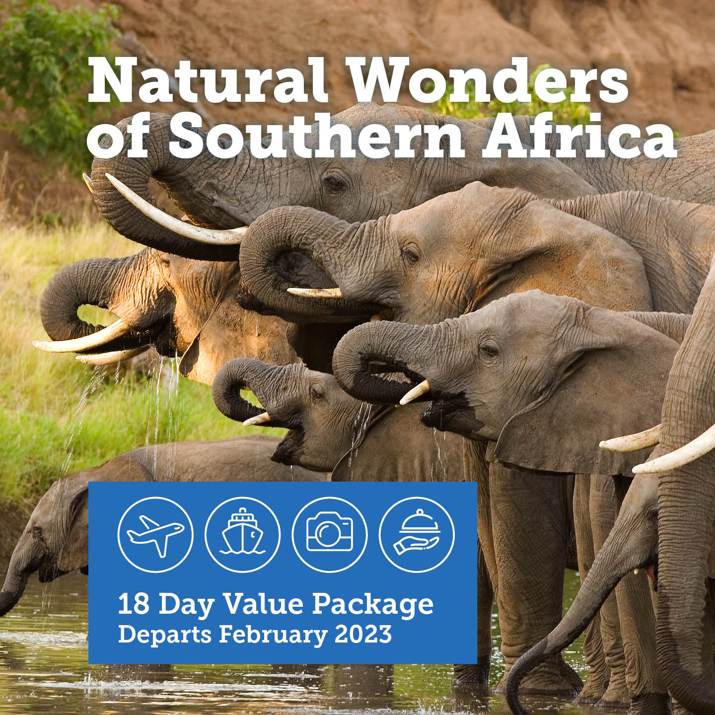 Natural Wonders of Southern Africa Cruise & Tour
