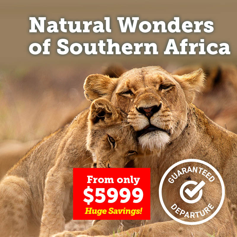 Natural Wonders of Southern Africa Cruise & Tour