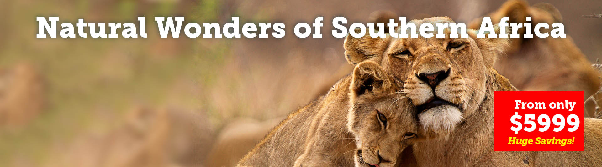 Natural Wonders of Southern Africa Cruise & Tour