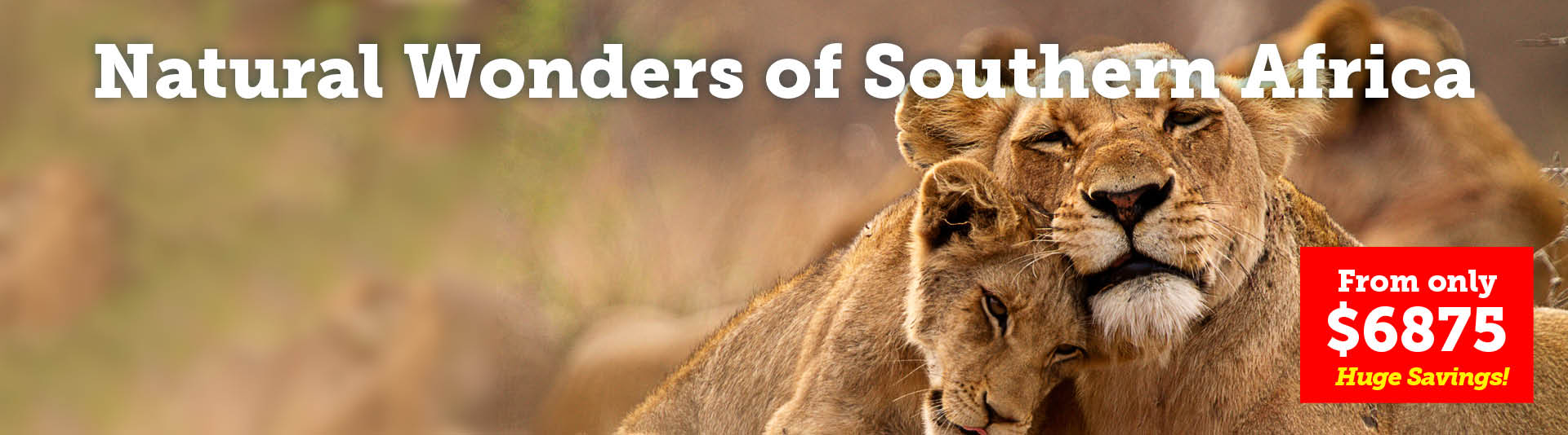 Natural Wonders of Southern Africa Cruise & Tour